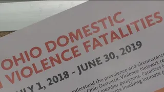 Recent killings shed light on domestic violence problem