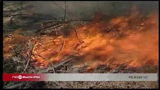 Режим ЧС введён в Иркутской области из-за большого количества лесных пожаров