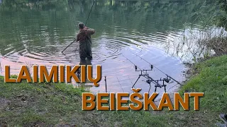 Laimikių beieškant (karpių žūklė)