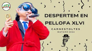 Carnestoltes Mataró 2024 - Despertem en Pellofa XLVI