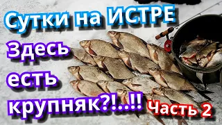 Глухозимье? НЕТ, не слышал! На Истре есть рыба!