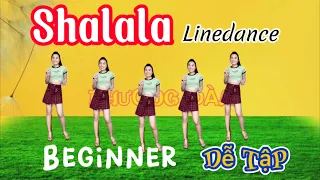 SHALALA - remix/ linedance/ beginner/ dành cho người mới tập