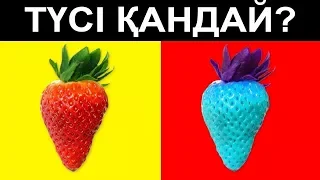 Логикалық сұрақтар #4