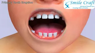 Primary Tooth Eruption