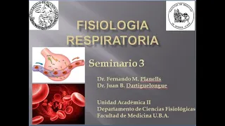 Fisiología Respiratoria. Seminario 3