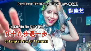 魏佳艺 - 九十九步退一步 Jiu Shi Jiu Bu Tui Yi Bu 《99 Langkah Mundur 1 Langkah》DJR7 Hot Remix抖音版2022 Translated