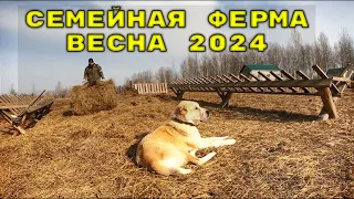 СЕМЕЙНАЯ ФЕРМА, ВЕСНА 2024