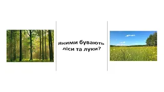 Урок 56 "Якими бувають ліси та луки?" Я досліджую світ 3 клас