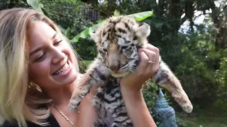 RAISING A BABY TIGER 🐯