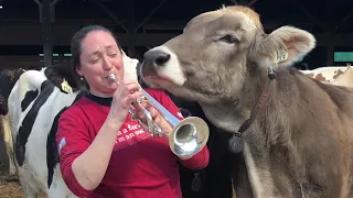 Massachusetts Dairy Farmer Plays Trumpet for her Cows