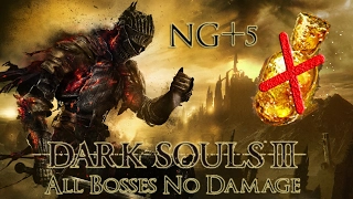 DARK SOULS™ - #21 Soul of Cinder Melee No Damage (Melee NG+5)