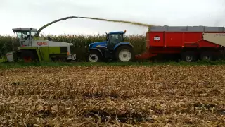 mais hakselen claas 690sl /corn harvest / maisernte