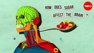 How sugar affects the brain - Nicole Avena