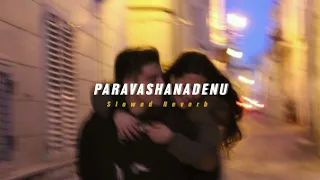 Paravashanadenu ( Slowed + Reverb ) | Soul Vibez
