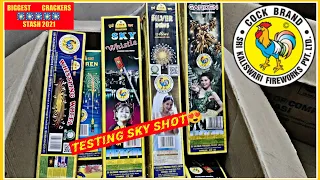 Testing Silver Dews from COCK BRAND Best Sky shot 💥|Diwali Crackers Stash 2021