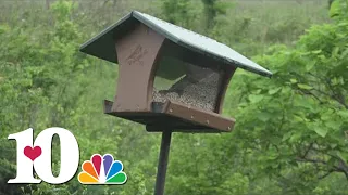 Fun for all at Seven Islands State Birding Park