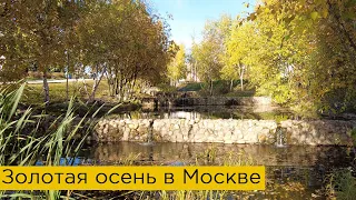 Золотая осень в Москве