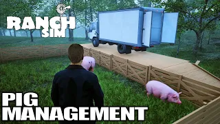 Pig Management Made Easy | Ranch Simulator Gameplay | E11