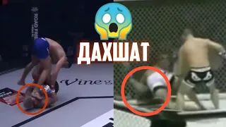 UFC тарихидаги охири ўлим билан якунланган жанглар 😱