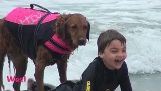 Surf dog Ricochet helps kids with special needs surf - Happiness alert!