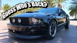 I Finally Got My Mustang GT BACK!!!