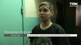 В Красноярске дом на Тамбовской оккупировали тараканы