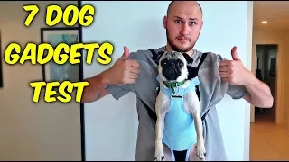 7 Dog Gadgets Put to the Test part 5