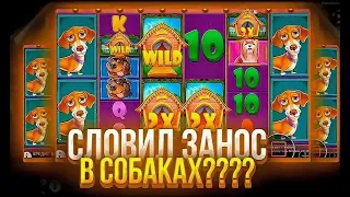 ПОЙМАЛ ЗАНОС В DOG HOUSE ПО СТАВКЕ В 200 РУБЛЕЙ И ВЕРНУЛ ВЕСЬ БАЛАНС!