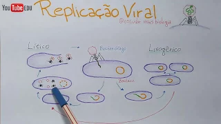 Ciclo LÍTICO e LISOGÊNICO dos vírus - Microbiologia