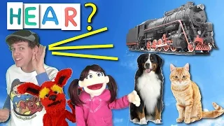 What Do You Hear? Song for Kids | Learning Sounds Animals Vehicles |  Learn English Kids