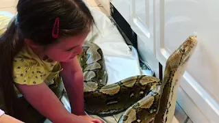 My daughter teaching her friend about snakes.