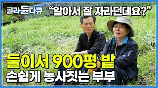 “제초제 그런 거 안 뿌려요” 잡초와의 전쟁 대신 공생을 선택한 결과┃화학비료 하나 없이 둘이서 900평 밭 손쉽게 농사짓는 부부┃자연농┃하나뿐인 지구┃#골라듄다큐