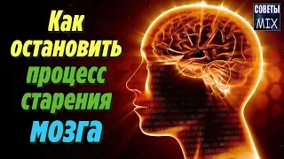 Как легко и просто остановить процесс старения мозга и улучшить память Советы для здоровья