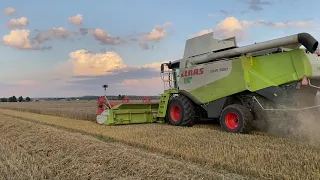 🔥Żniwa pszenicy Claas Lexion 580 w akcji🔥Vixa🔥