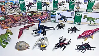 New Animals, Beetles, and Dinosaurs - Armadillo, Falcon, Stag Beetle, Ankylosaurus, Pteranodon