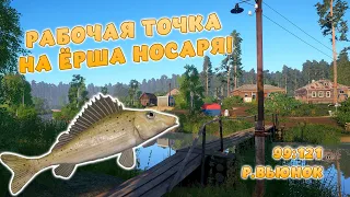 Русская рыбалка 4 - ЁРШ НОСАРЬ! РАБОЧАЯ ТОЧКА! ГАЙД ДЛЯ НОВИЧКОВ! На р. Вьюнок