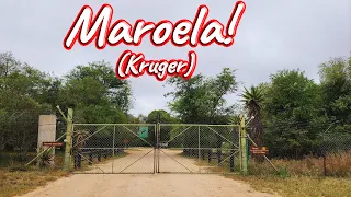 S1 – Ep 435 – Maroela Satellite Camp