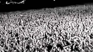 Whitesnake - Live At Donington 1990 DVD