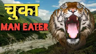 The Chuka Man-Eater 2 | Chuka Man Eater Tiger | Jim Corbett Killed Chuka Man Eating Tiger | बाघ