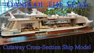 Royal Caribbean Oasis Of The Seas Cutaway Cross Section Ship Model