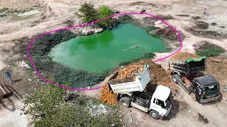Best Activity  Operator Skill Bulldozer Push Clear Land With Dump Truck Loading Delete The Lake