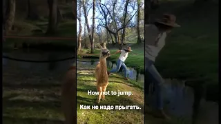 And it all started so well. А все так хорошо начиналось.