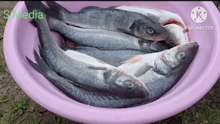 Cooking crispy fish and chips. Cooking outdoor is enjoyable. 😁