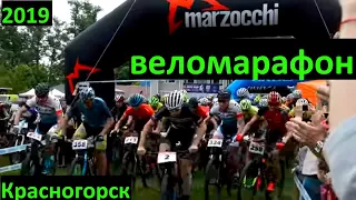 MARZOCCHI CUP 2019 - веломарафон, Красногорск - пару слов для новичков о веломарафонах.