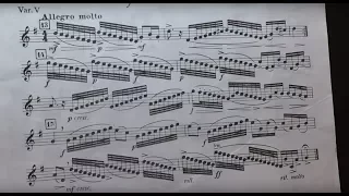 Aria con Variazioni - G. F. Handel🎺(Trumpet Solo)