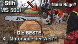 Zurückgeschickt nach 2 Wochen?! 😮 Stihl MS 500i im Test!