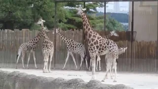 Der Safari Park in Dvůr Králové