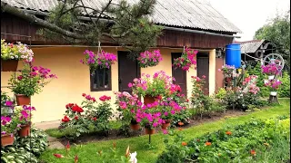 🌺Оригинальные садовые идеи для вашего вдохновения / Great landscape ideas / A - Video