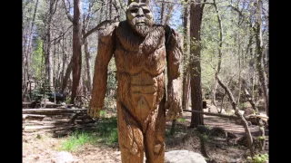 Search for Mogollon Monster Arizona Bigfoot