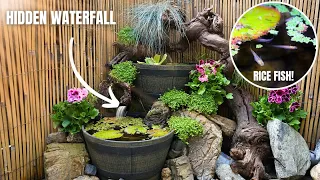 EASY DOUBLE BARREL MINI POND FOR RICE FISH AND GUPPIES! Step by Step Tutorial